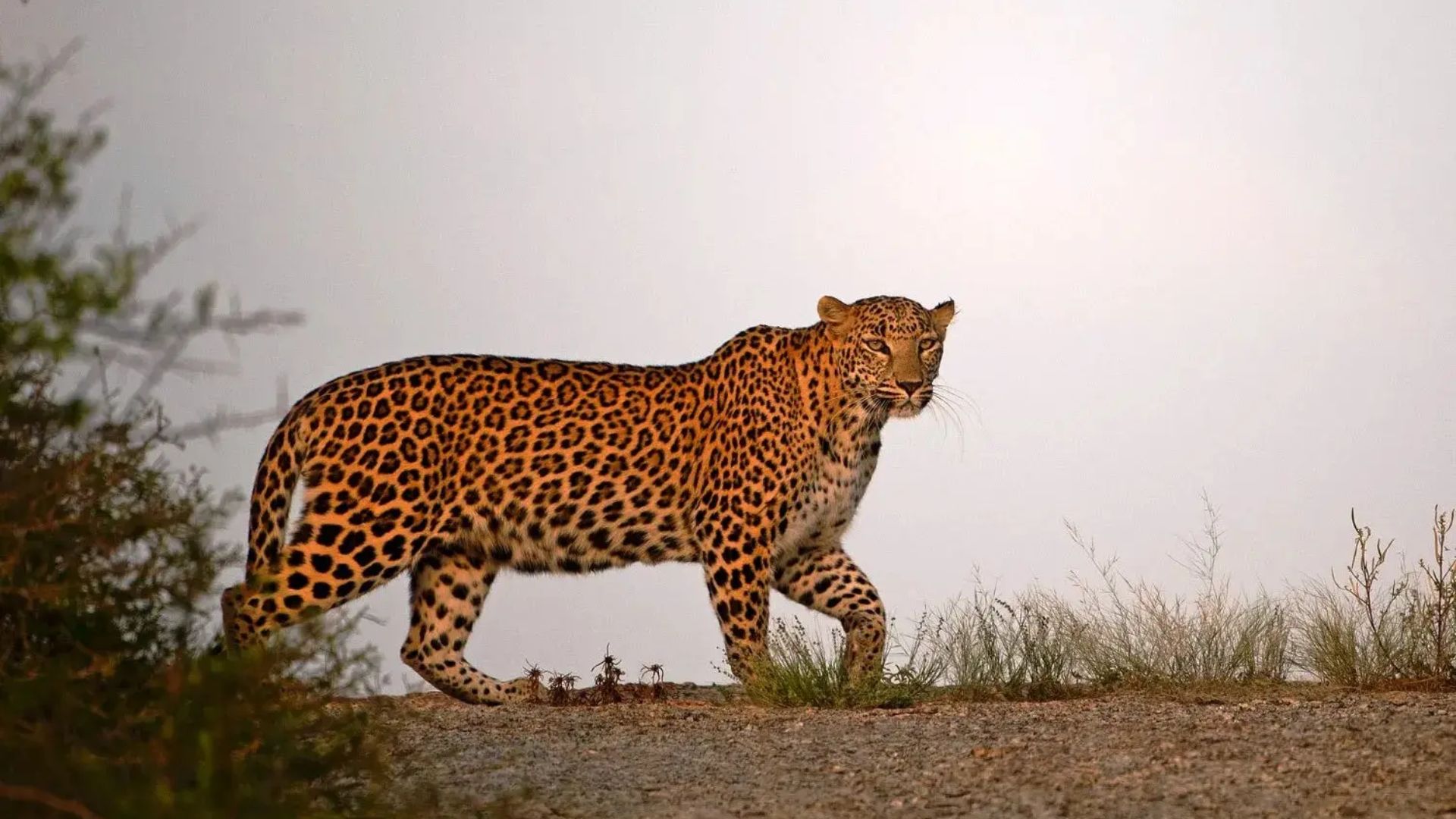 Hill & Rock Exploration